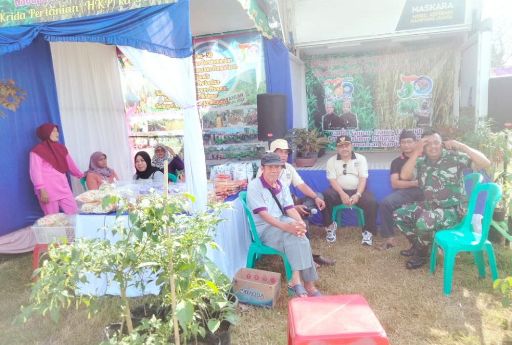 Kegiatan HUT Kabupaten Ciamis ke 380 di Pamarican